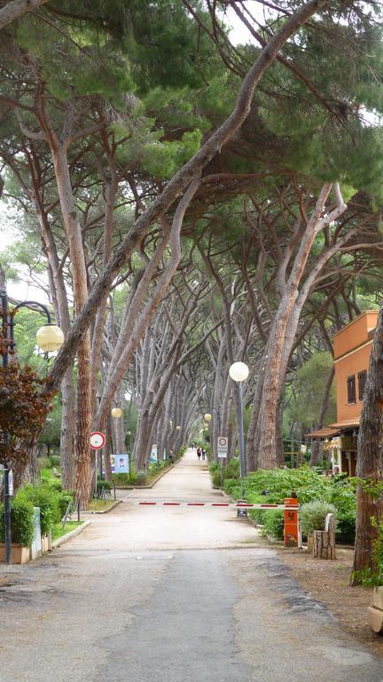 Hotel Leopoldo Castiglioncello Exterior photo